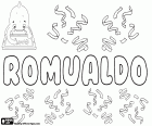 Romualdo, nome di origine germanica, in diverse lingue come spagnolo, portoghese e italiano, deriva dalla forma latina medievale Romualdus