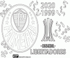 Il Palmeiras del San Paolo ha vinto il titolo di Coppa Libertadores 2020, battendo il Santos 1-0 con un gol all'overtime. Questo è il secondo campionato continentale del Palmeiras dopo la Coppa Libertadores 1999