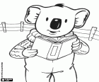 Koala Buster legge un libro nella sua fattoria. Buster è uno dei fratelli Koala