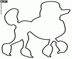 La silhouette di un barbone con i capelli delle gambe tagliati. I barboni sono cani eleganti, orgogliosi e intelligenti