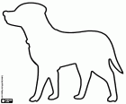 Disegno da colorare con la silhouette di un cane labrador con il colletto