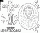 La Sociedade Esportiva Palmeiras ha vinto il suo terzo titolo di campione della Copa Libertadores. Il Palmeiras ha battuto il Flamengo 2-1 in finale con i gol di Raphael al 5° minuto e il gol decisivo di Deyverson al 95° minuto, e al 72° minuto gol di Gabriel Barbosa per la squadra carioca.