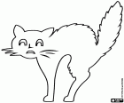 La silhouette di un gatto con la schiena arcuata e i capelli ispidi. In questo disegno puoi anche vedere il volto del gatto con i baffi