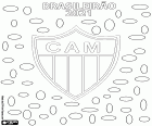Il Clube Atlético Mineiro è il campione del Brasileirão 2021, la Série A del campionato brasiliano. Questo è il secondo titolo del club di Belo Horizonte dopo quello ottenuto cinquant'anni fa, nel 1971