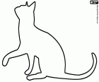 La silhouette di un gatto che solleva una delle sue zampe anteriori