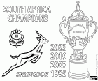 Gli Springboks del Sudafrica hanno mantenuto il titolo mondiale battendo gli All Blacks della Nuova Zelanda per 11-12. Il Sudafrica è il primo paese a vincere quattro volte la Webb Ellis Cup, il trofeo per il vincitore del campionato mondiale di rugby. I quattro titoli mondiali del Sudafrica sono quelli vinti in Sudafrica 1995, Francia 2007, Giappone 2019 e Francia 2023