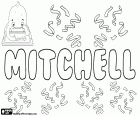 Mitchell e la sua variante Mitchel, nome maschile in inglese, scozzese e irlandese, ha origini etimologiche diverse, tutte derivate dai nomi Michael o Michel