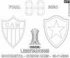 Atlético Mineiro-Botafogo, la finale della Copa Libertadores 2024, Estadio Monumental de Buenos Aires, Argentina