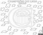 Il Club Atlético Rosario Central è campione del campionato argentino 2025, la massima divisione.