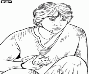 Colora Ron con il topo in mano