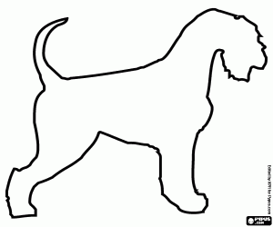 Colora La sagoma di un cane Schnauzer