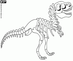 Colora Lo scheletro di un dinosauro