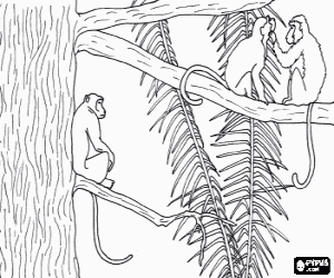 Colora Scimmie dalla coda lunga nell'albero