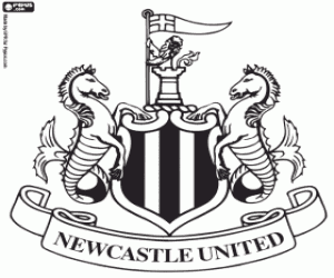 Colora Scudo del Newcastle United
