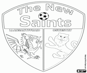 Colora Scudo di The New Saints FC