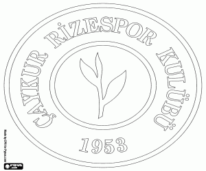 Colora Scudo del Çaykur Rizespor