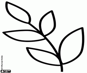Colora Semplice disegno del ramo di alloro