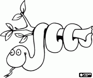 Colora Serpente arrotolata su un ramo