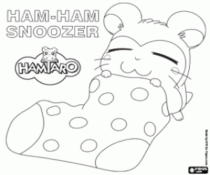 Colora Snoozer, una sonnolenta Ham-Ham