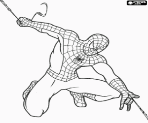 Colora Spiderman e la sua ragnatela