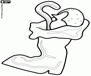 Colora Stivale di Babbo Natale con i regali