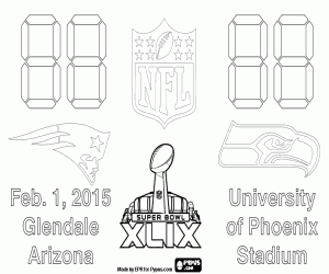 Colora Super Bowl 2015, Arizona