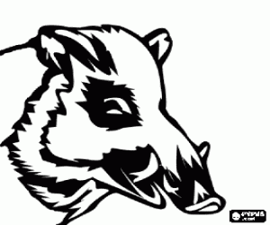 Colora Testa di cinghiale con zanne