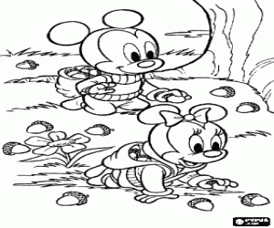 Colora Topolino, Minni e le ghiande