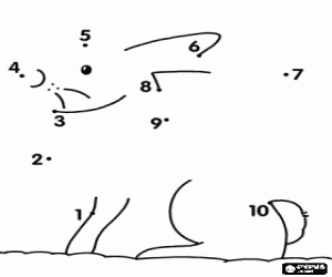 Colora Unire i puntini di un animale