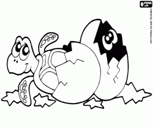 Colora Uova di tartaruga