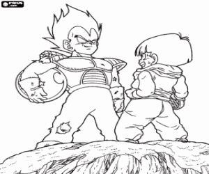 Colora Vegeta e Son Gohan, figlio di Goku