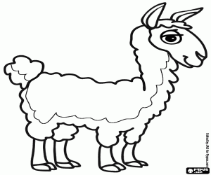 Colora Un vigogna dalle Ande