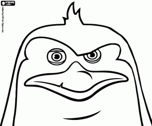 Colora Volto di Rico, pinguino pettinato