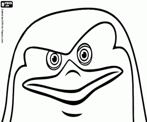 Colora Il volto di Skipper