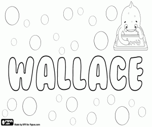 Colora Wallace, nome scozzese e inglese