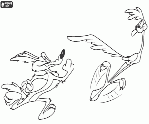 Colora Wile Coyote e Beep Beep