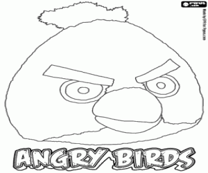 Colora Yellow Bird e Angry Bird