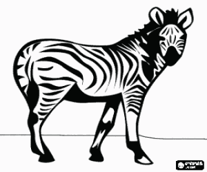 Colora Zebra, animale selvatico