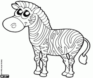 Colora Zebra