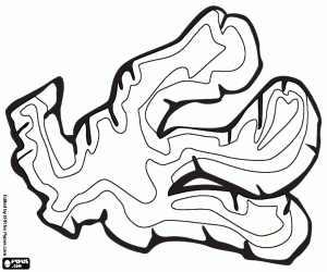 Colora Zenzero, una spezia piccante