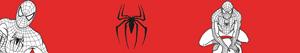 Disegni Spiderman o Spider Man da colorare